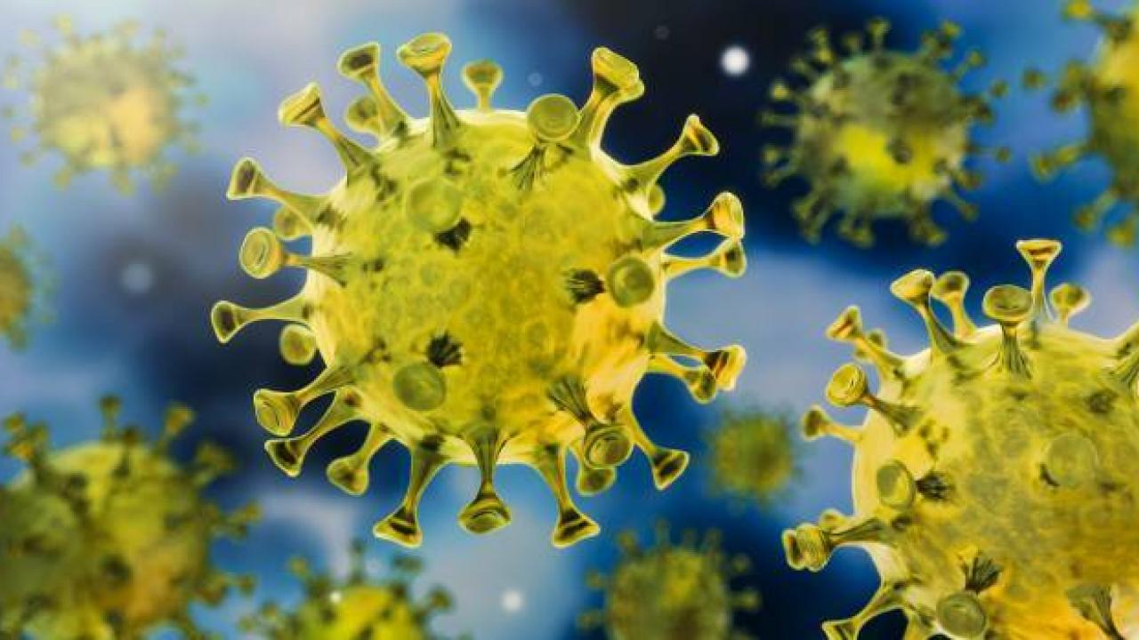 covid-19 virus