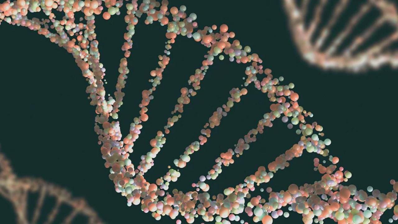 DNA Structure