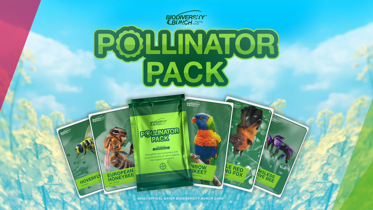 Pollinator Pack cards