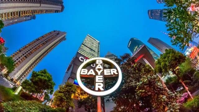 bayer cross in shanghai