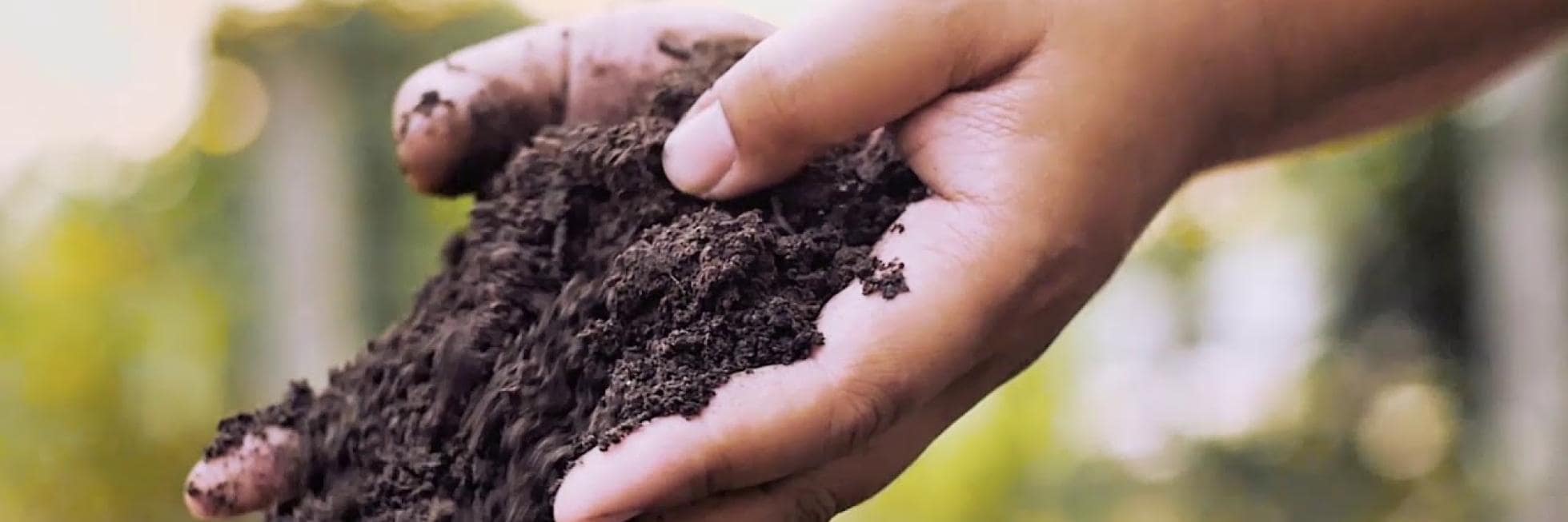 hands with ground